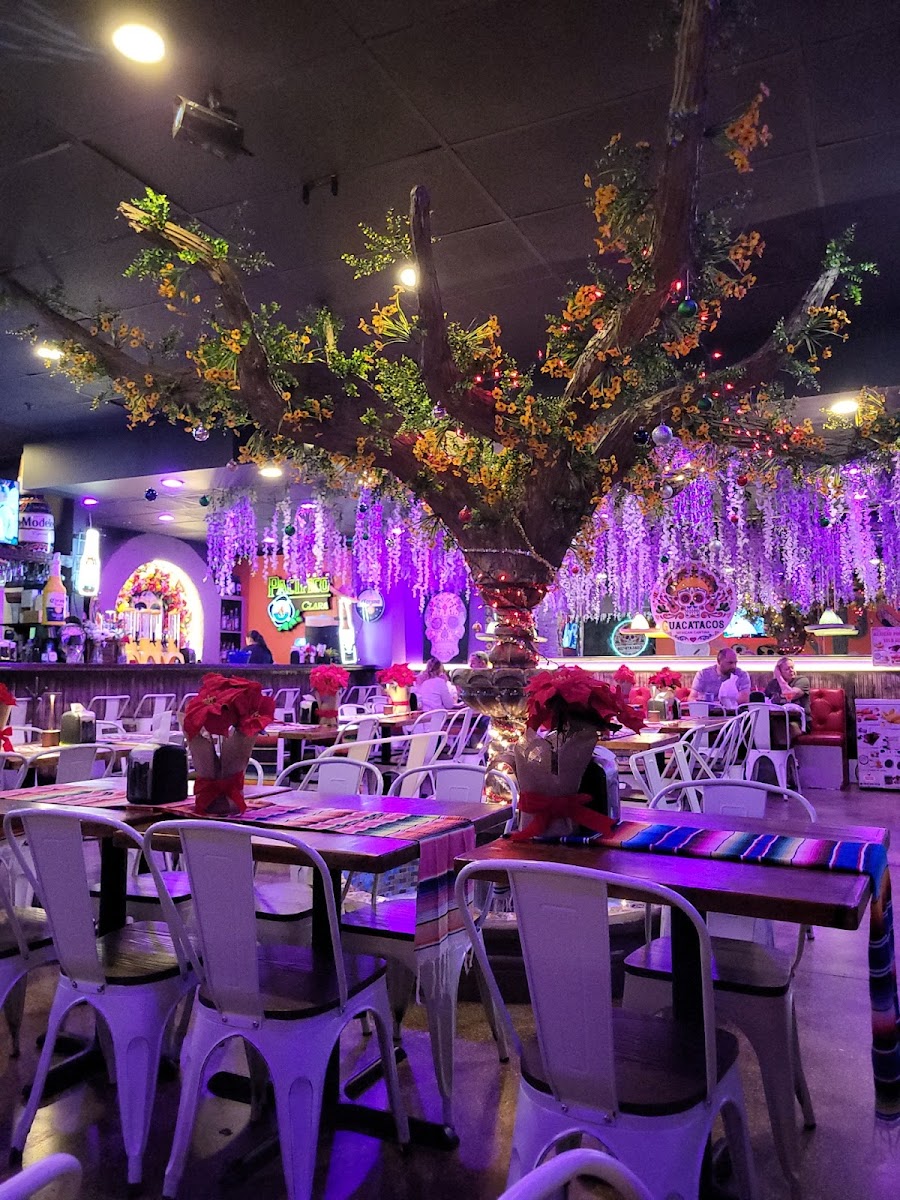 Guacatacos - Mexican Cantina